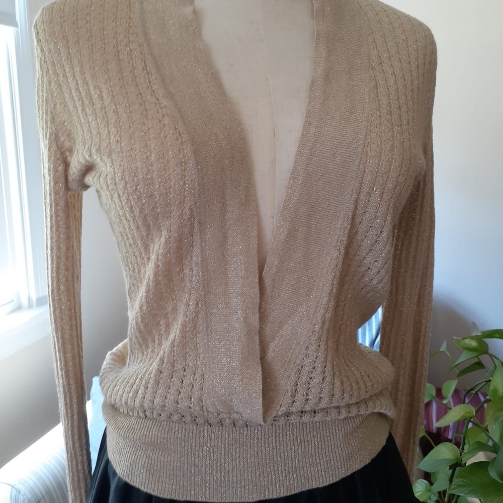 Gold Sheer V-Cut Sweater